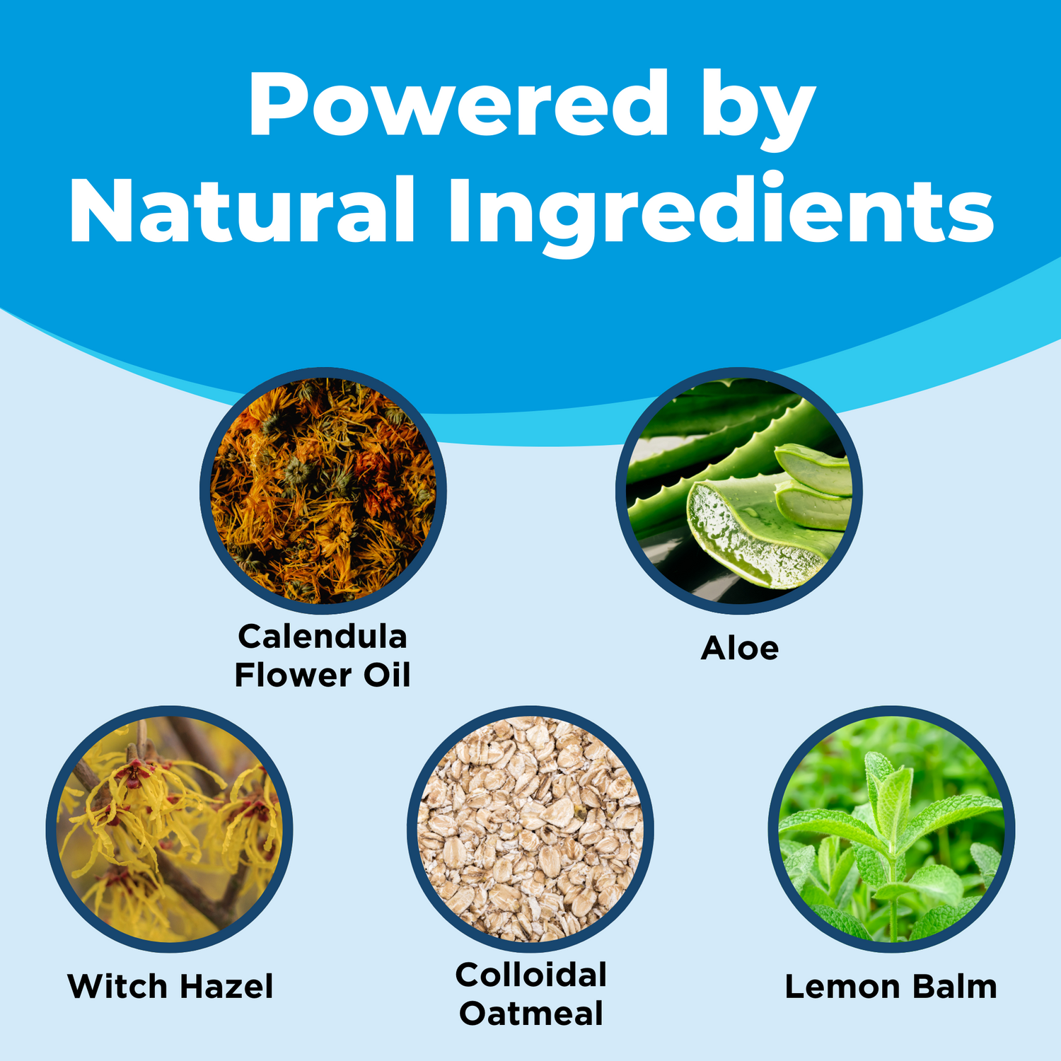 natural feminine wash genital herpes