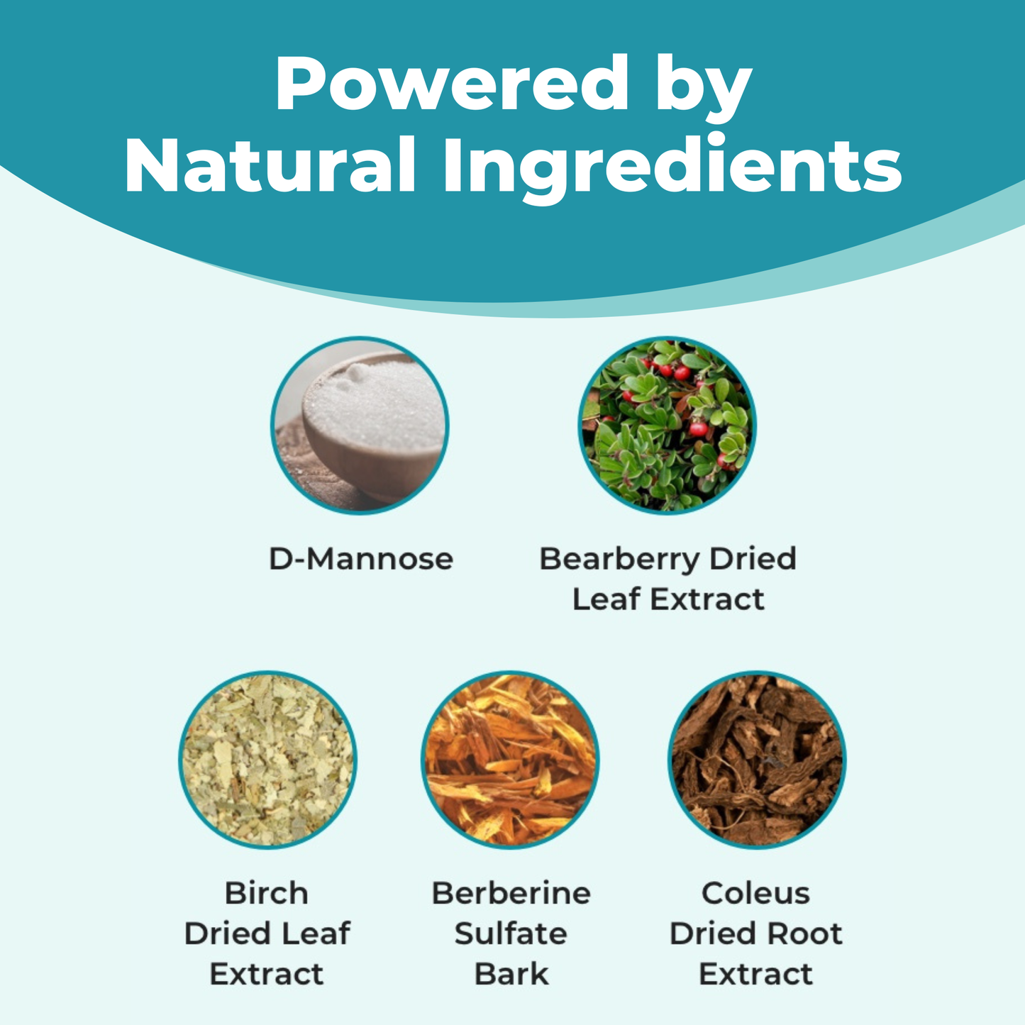 Daily Urinary Tract Flush