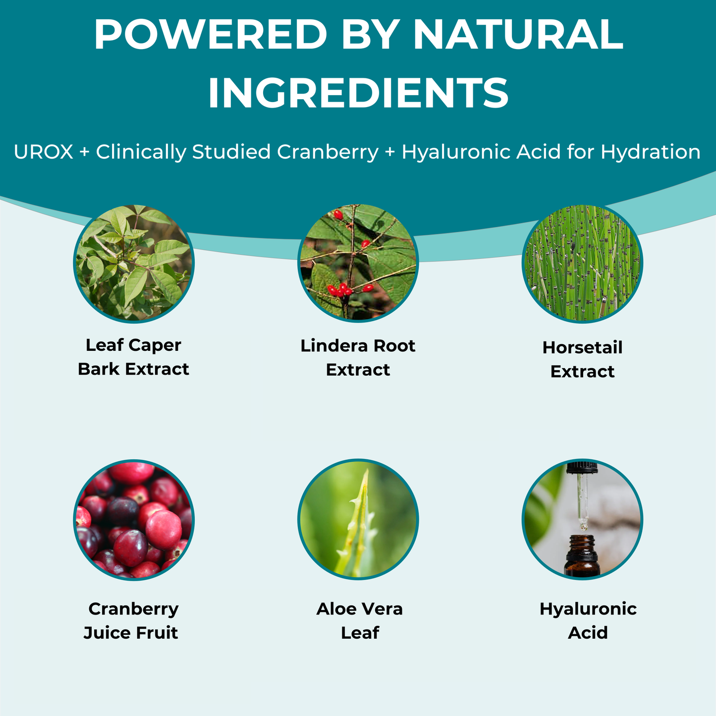 Daily Bladder Strength