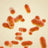 Illustration of rod-shaped orange bacteria, labeled in the file name as Lactobacillus crispatus.