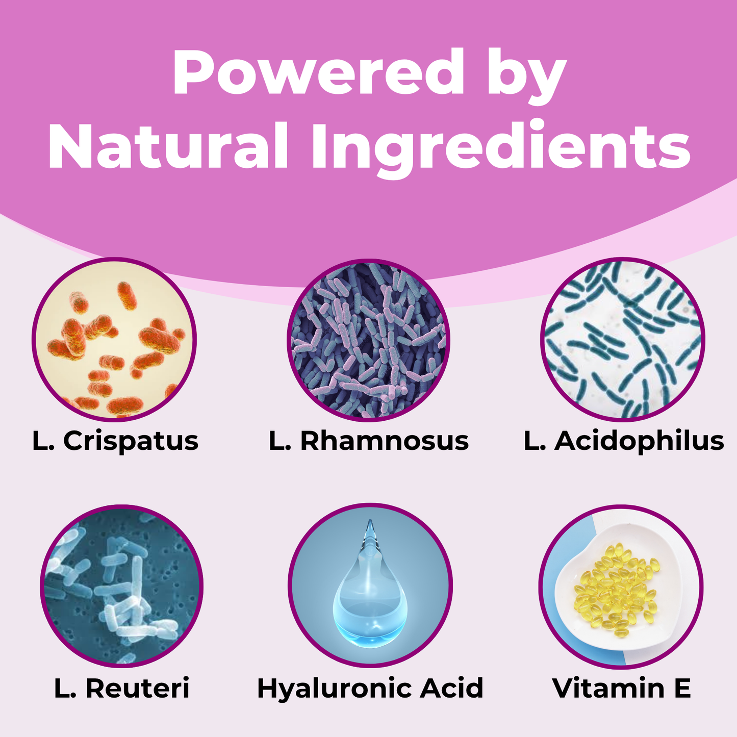 Daily Vaginal Probiotic