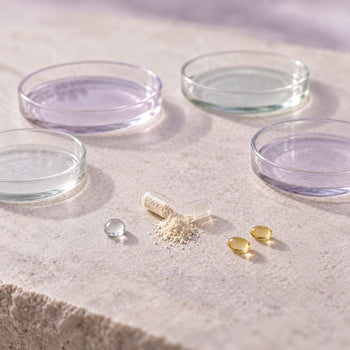 Ingredients for Daily Vaginal Probiotic 